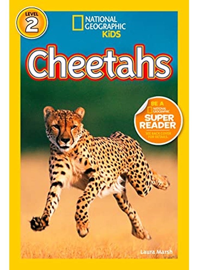Cheetahs